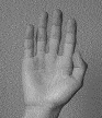̎g(2) - hand(2)