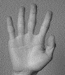 ̎g(3) - hand(3)
