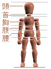 身体の5つのパーツ - body separates in 5 parts
